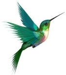 https://i.pinimg.com/736x/22/aa/19/22aa19067e5aa443b46f17d21ad9055a--humming-birds-bird-tattoos.jpg